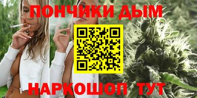 крисы Лесосибирск