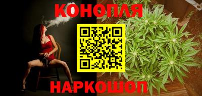 крисы Лесосибирск