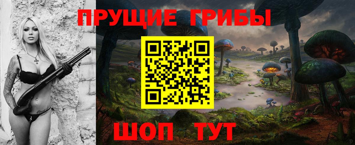 Донецк  Псилоцибиновые грибы Psilocybine cubensis  Вход с VPN 