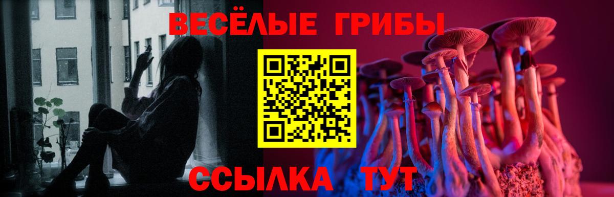 Псилоцибиновые грибы Magic Shrooms Донецк